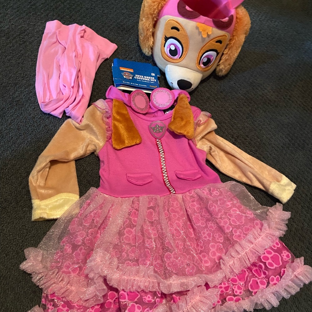 Paw patrol Skye costume